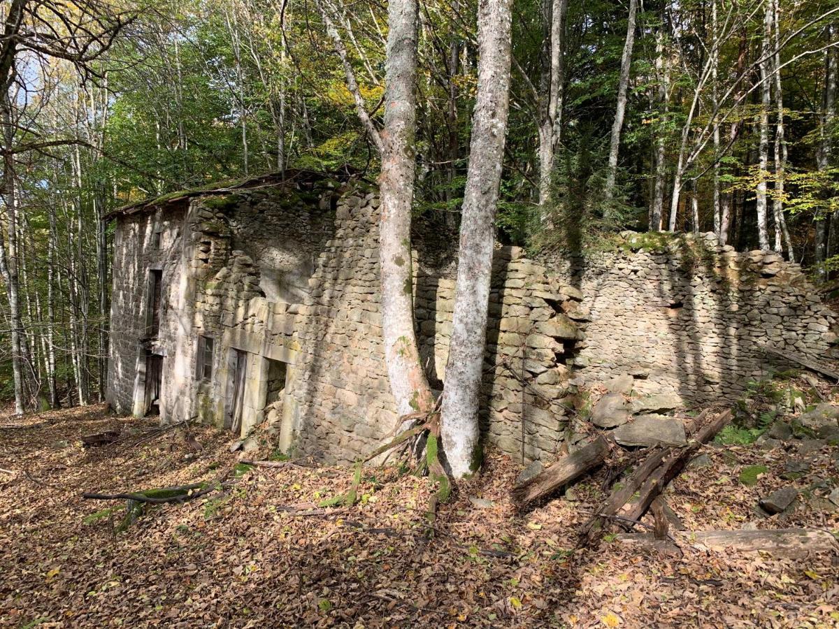 Gîte  Orée des bois Vertolaye Exterior foto
