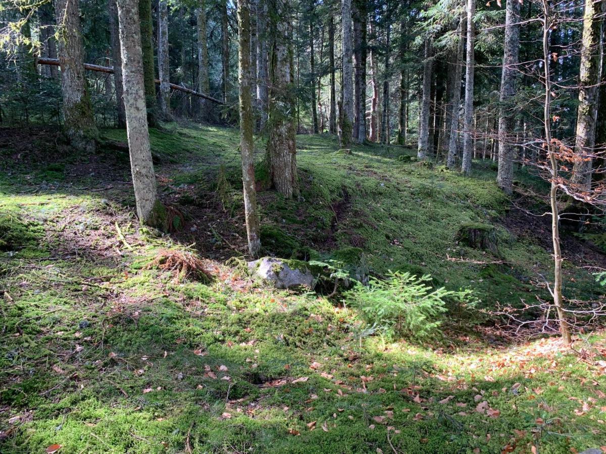 Gîte  Orée des bois Vertolaye Exterior foto