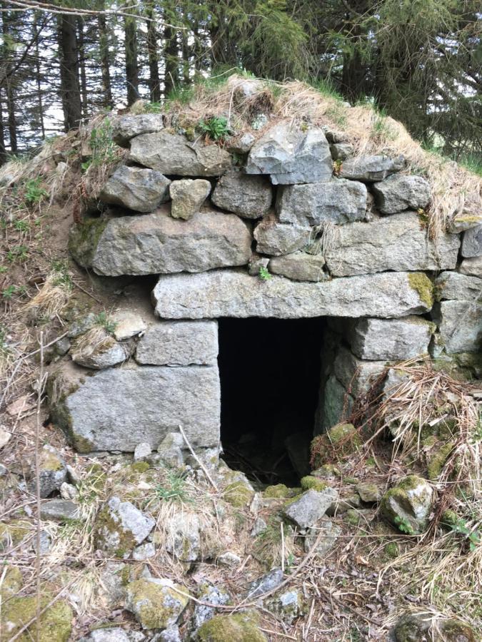Gîte  Orée des bois Vertolaye Exterior foto